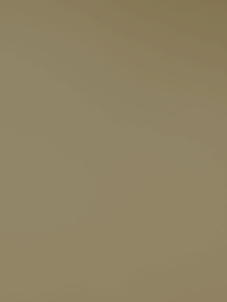 Vratnice.hr NIEMANN VISION MAT METALIK GOLD PEARL 8861M