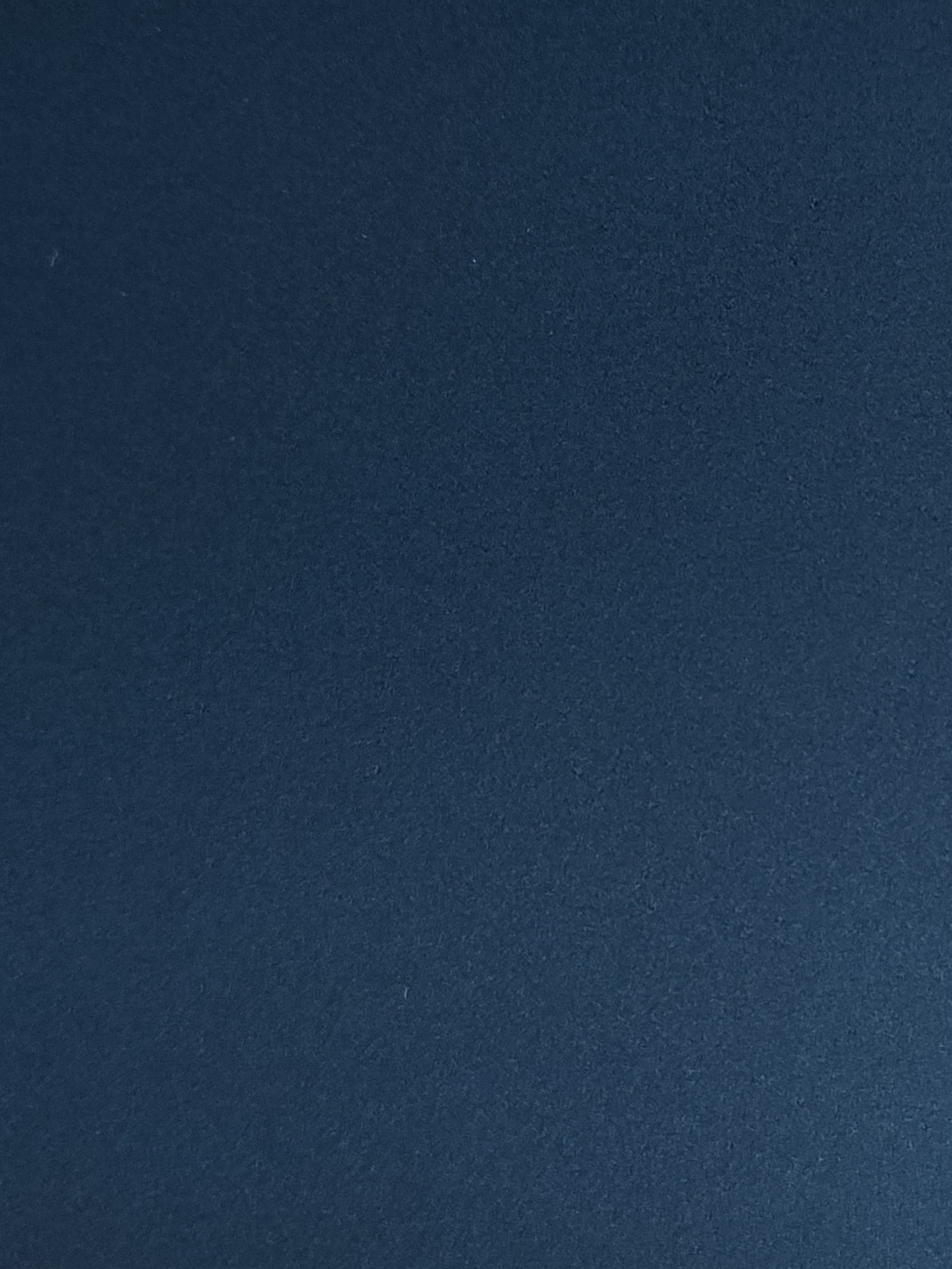 Vratnice.hr NIEMANN VISION MAT METALIK BLUE METALLIC 8863M